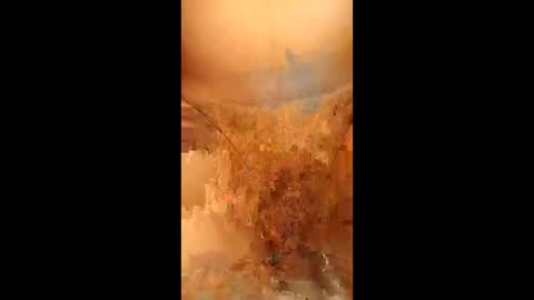 Snapshot of swiri123 chatting on February 2026 11:11:01 AM swiri123 online show from February 2026 11:11:01 AM