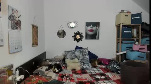 switchlorenx online show from February 2026 11:45:01 PM