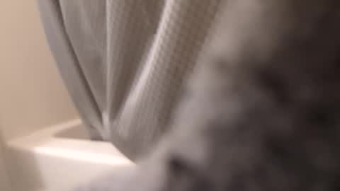 swollpole2112 online show from September 2025 06:12:02 AM