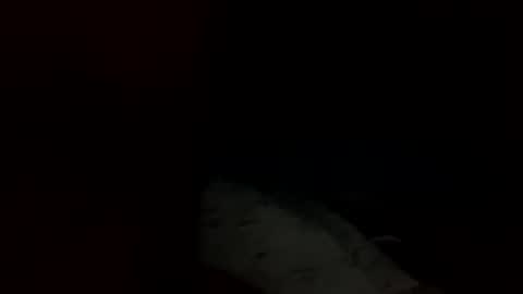 swovey online show from September 2025 10:31:01 AM