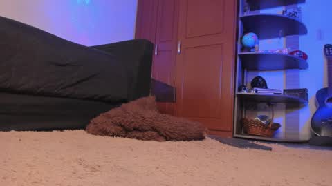 Syd online show from December 2024 02:32:01 AM