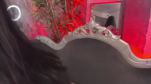 Sydney online show from March 2026 11:22:02 PM