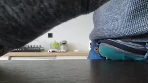 taconatatox online show from December 2024 01:35:02 PM