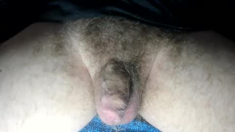 mr taco online show from February 2025 03:35:01 PM