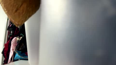 tali  online show from October 2025 06:35:02 PM