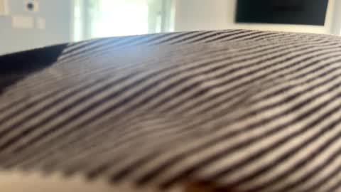 talk2me818 online show from January 2025 03:08:01 PM