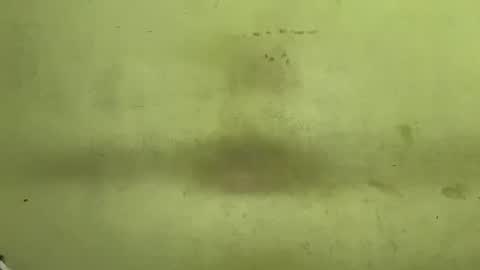 Snapshot of tamanna02 chatting on November 2025 04:45:02 AM Tanya online show from November 2025 04:45:02 AM