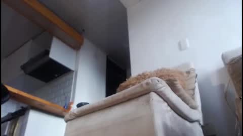 Tamara online show from February 2026 09:07:01 PM