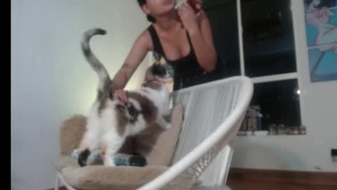 Tamara online show from April 2026 11:40:02 PM