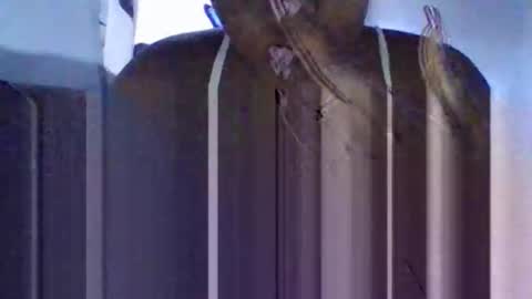 Tanaya1 online show from October 2025 05:28:01 AM