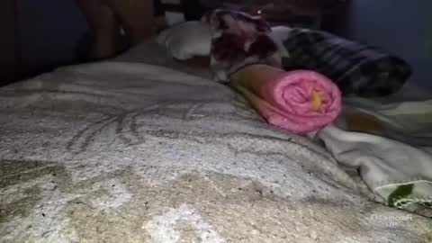 Snapshot of tangaxhentai3 chatting on January 2025 12:48:02 AM tangaxhentai3 online show from January 2025 12:48:02 AM