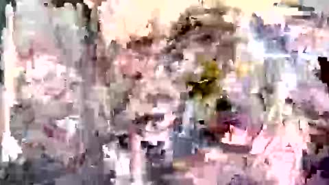 Tara online show from November 2025 02:44:01 AM