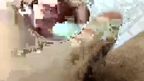 tarek088 online show from April 2026 11:09:02 PM