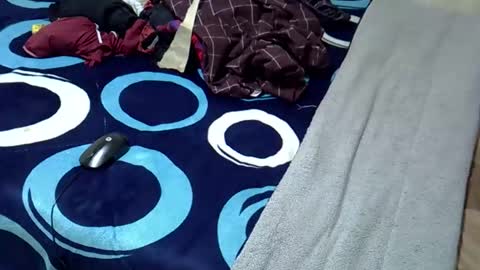 tastie_t online show from November 2025 06:04:02 AM