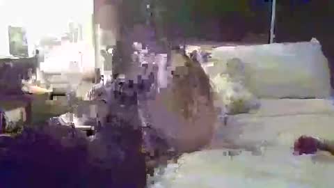 tatibaby4 online show from January 2026 06:19:01 AM