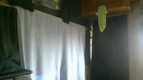 taylafox online show from February 2025 09:26:02 PM