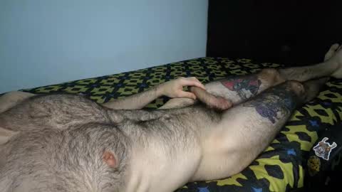 Taylor online show from February 2026 07:50:01 AM