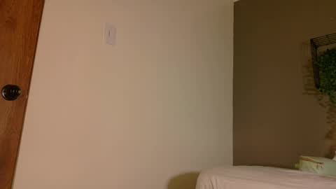 TAYLOR  online show from November 2025 11:42:02 AM