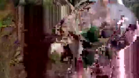 Snapshot of tbonestk6969 chatting on November 2025 01:42:02 PM tbonestk6969 online show from November 2025 01:42:02 PM