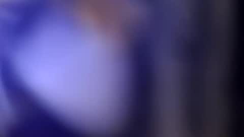 Luis online show from November 2025 11:10:02 AM