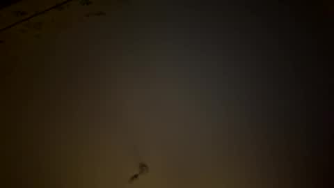 teecup4osk online show from February 2026 04:38:02 AM