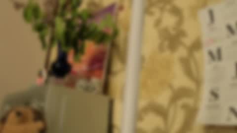 Snapshot of tender__ada chatting on May 2026 09:14:01 AM Ada online show from May 2026 09:14:01 AM