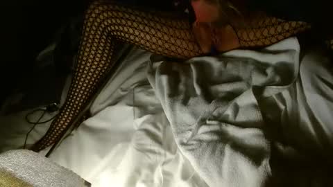 tendersinner online show from February 2025 06:54:01 AM