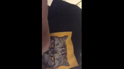 Call me Jason online show from December 2025 12:27:01 AM