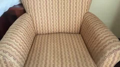 Tev online show from March 2026 03:05:01 PM