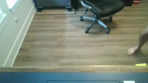 Snapshot of tfm138 chatting on May 2026 04:04:02 PM tfm138 online show from May 2026 04:04:02 PM