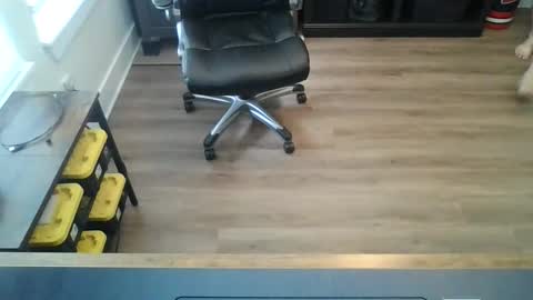 Snapshot of tfm138 chatting on May 2026 05:29:02 PM tfm138 online show from May 2026 05:29:02 PM