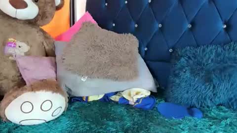 thania      sometimes in the company of Alan and Maria online show from January 2026 06:24:02 PM