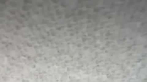 thankyoudaddy1 online show from October 2025 01:53:02 AM