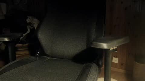 Snapshot of that_swiss_guy chatting on February 2025 09:58:01 PM that_swiss_guy online show from February 2025 09:58:01 PM