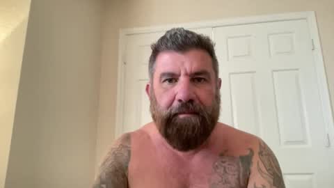 Snapshot of thatguybearded chatting on January 2025 05:22:02 PM ThatGuyBearded online show from January 2025 05:22:02 PM