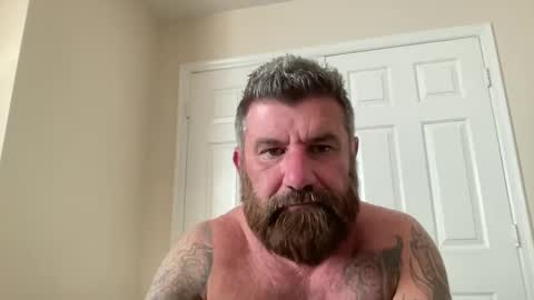 Snapshot of thatguybearded chatting on January 2025 11:02:02 PM ThatGuyBearded online show from January 2025 11:02:02 PM