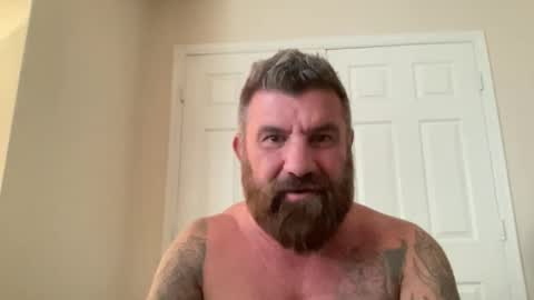 Snapshot of thatguybearded chatting on February 2025 12:08:02 AM ThatGuyBearded online show from February 2025 12:08:02 AM