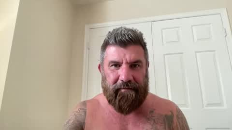 Snapshot of thatguybearded chatting on February 2025 09:04:02 PM ThatGuyBearded online show from February 2025 09:04:02 PM