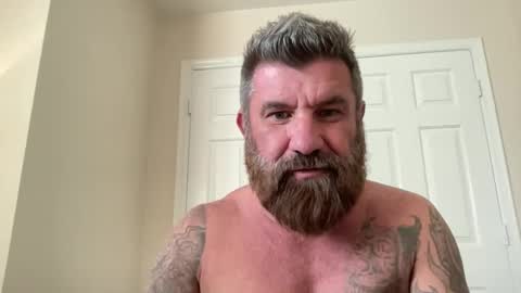 Snapshot of thatguybearded chatting on February 2025 11:12:01 PM ThatGuyBearded online show from February 2025 11:12:01 PM