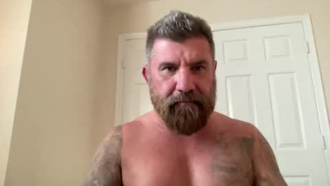 Snapshot of thatguybearded chatting on March 2025 10:43:02 PM ThatGuyBearded online show from March 2025 10:43:02 PM