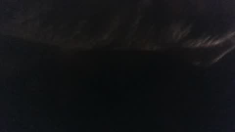 thathornierguy online show from January 2025 11:05:01 AM