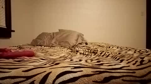 thatman1997655 online show from November 2025 04:12:01 AM