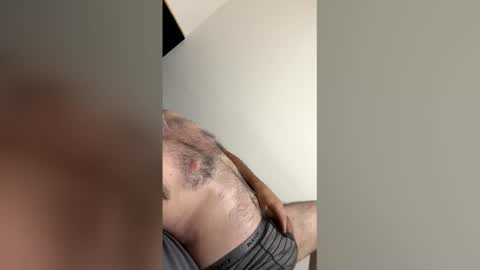 the_bear_br online show from April 2026 12:47:01 PM