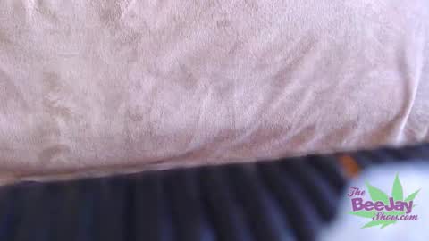 Snapshot of thebeejayshow chatting on December 2024 03:43:01 PM TheBeeJayShow online show from December 2024 03:43:01 PM