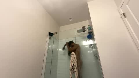 king capo thee online show from December 2024 10:52:02 PM