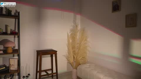   Streaming mostly at    online show from February 2025 09:52:01 PM