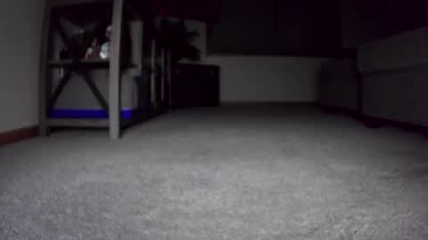 Snapshot of thegreat6268469 chatting on December 2024 10:44:02 AM thegreat6268469 online show from December 2024 10:44:02 AM