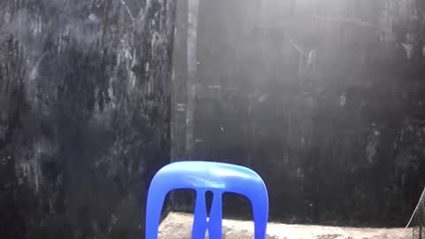 Xerxis online show from March 2025 02:37:01 PM