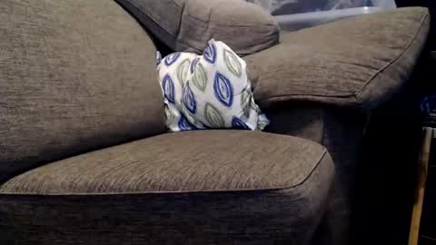 Snapshot of themrteez chatting on February 2025 01:22:01 PM Teez online show from February 2025 01:22:01 PM