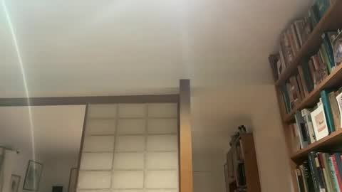 theowlandthe online show from January 2025 07:52:01 PM